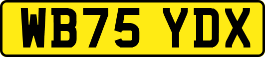 WB75YDX