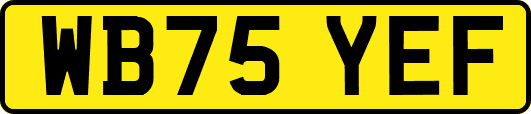 WB75YEF