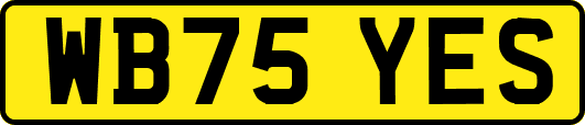WB75YES