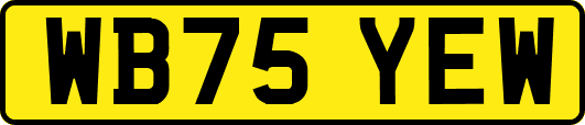 WB75YEW