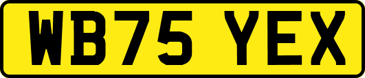 WB75YEX