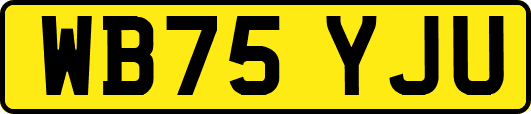 WB75YJU