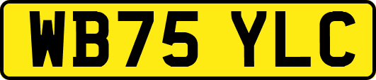 WB75YLC