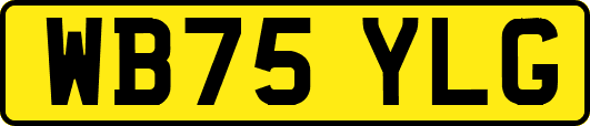 WB75YLG