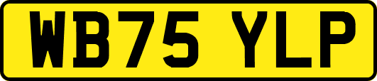 WB75YLP