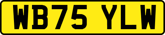 WB75YLW