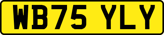 WB75YLY