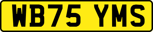 WB75YMS