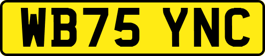 WB75YNC