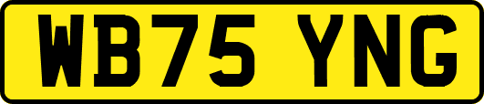WB75YNG