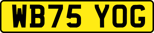 WB75YOG