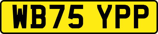 WB75YPP