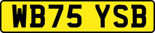 WB75YSB