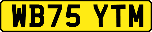 WB75YTM