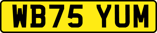 WB75YUM