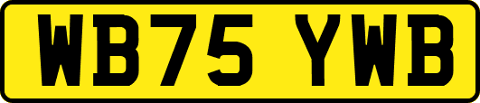 WB75YWB
