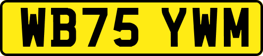 WB75YWM
