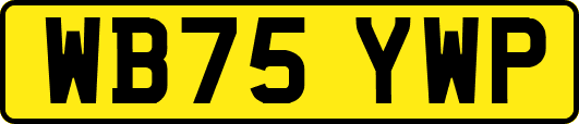 WB75YWP