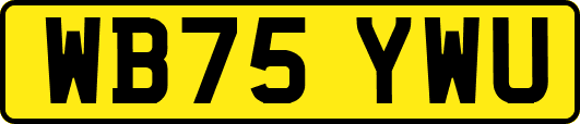 WB75YWU