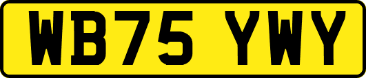 WB75YWY