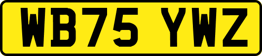 WB75YWZ