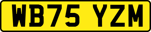 WB75YZM
