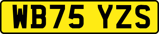WB75YZS
