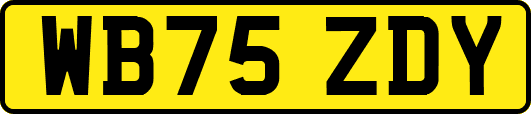 WB75ZDY