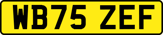 WB75ZEF