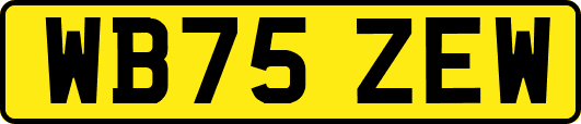 WB75ZEW