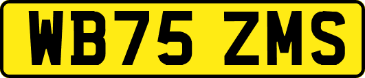 WB75ZMS