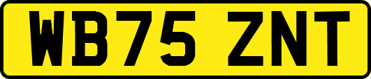 WB75ZNT