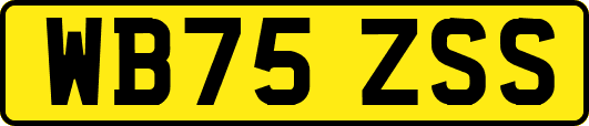 WB75ZSS