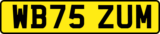 WB75ZUM