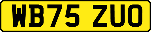 WB75ZUO