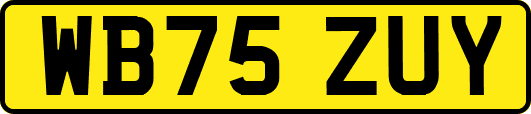WB75ZUY