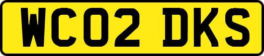 WC02DKS