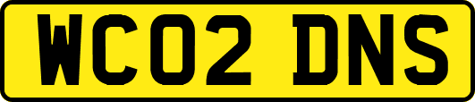 WC02DNS
