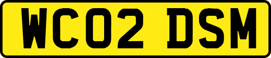WC02DSM