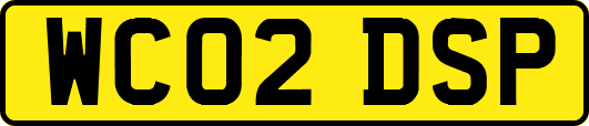 WC02DSP
