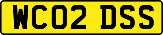 WC02DSS