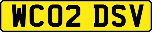 WC02DSV