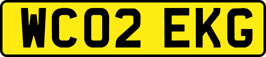 WC02EKG
