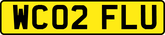 WC02FLU
