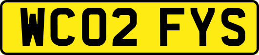 WC02FYS