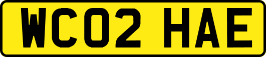 WC02HAE