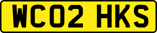 WC02HKS