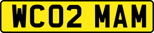 WC02MAM