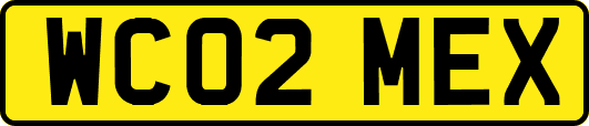 WC02MEX