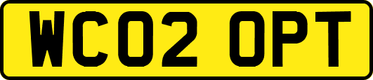 WC02OPT